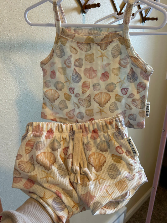 Seashell Set
